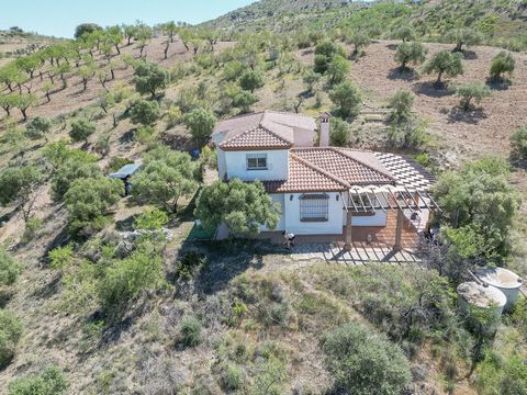 Finca with great views of the torcal located on the outskirts of Almogia and only 10 minutes from the center of Casabermeja. The property is distributed over 2 floors as follows. Ground floor with 2 separate entrances: Living room with fireplace, din...