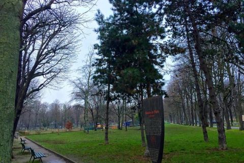 photo no. 18