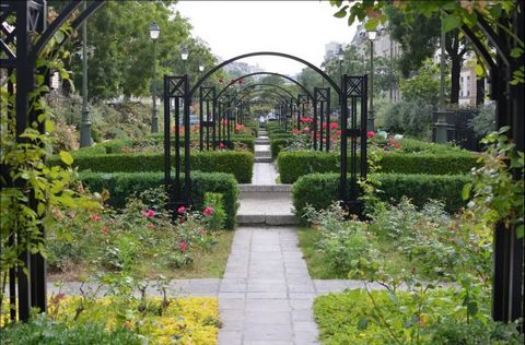 photo no. 16