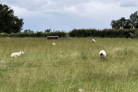 Immerso nel cuore della campagna borbonese, questo affascinante cottage vi offrirà un soggiorno rinfrescante e bucolico. L'alloggio Espinasse è il luogo ideale per fuggire dal caos e dalla frenesia della vita quotidiana e ritrovarsi con la famiglia o...