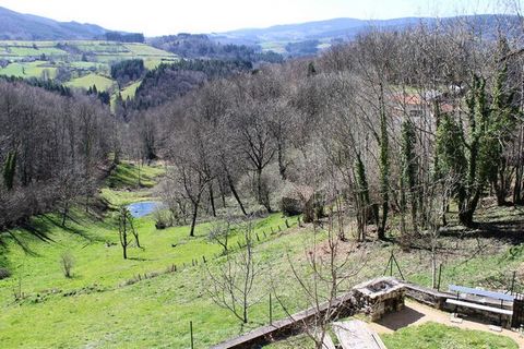 Kom en ontdek de rijkdom van de Montagne Bourbonnaise in La Chabanne! In de gîte van Galant, gehuisvest in de oude dorpsschool, kunt u het hele jaar door samenkomen met vrienden of familie. Deze accommodatie, grenzend aan gîte Saillant, is ideaal voo...