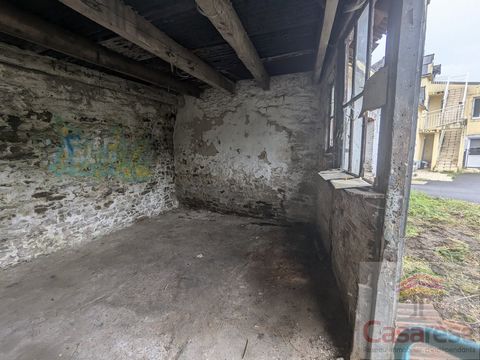 photo no. 2