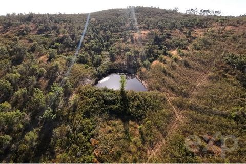 Spectacular 65-Hectare Farm with Prime Development Potential in Southern Alentejo, Odemira County  This exceptional 649,250m² farm offers an exciting development opportunity with the potential to build up to 400m² per hectare, totaling 2,597m² in som...