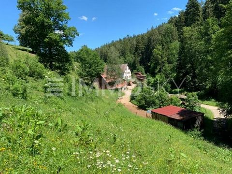 ** Se vende esta granja agrícola con un molino en funcionamiento en un lugar idílico y aislado.** La espaciosa casa de campo se encuentra en una ubicación fantástica en medio de la naturaleza. La propiedad se encuentra en el norte de la Selva Negra y...