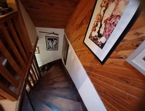 photo no. 4