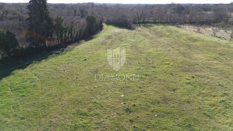 Location: Istarska županija, Svetvinčenat, Svetvinčenat. We are selling a very nice agricultural land on the very edge of urbanization. The terrain is completely flat and borders a plot with houses and auxiliary buildings, meaning it is on the very e...