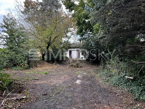 Are you looking for a sunny building plot for your dream home? Welcome to your future living paradise! This sunny plot with a generous area of 1,064 m² is located in the quiet and green surroundings of Berlin Altglienicke. Here you will enjoy the per...