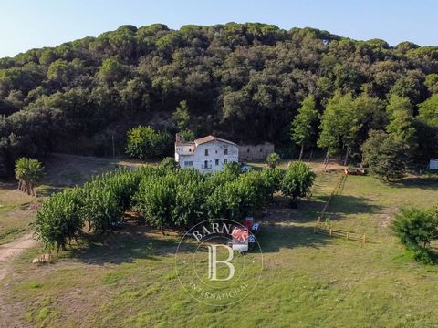 Barnes Maresme presenteert deze uitstekende kans om meer dan 36.000 vierkante meter grond te verwerven in Sant Pol de Mar, op slechts 40 minuten van Barcelona. Ongeveer 14.000 vierkante meter is vlak, terwijl de rest uit heuvelachtig terrein bestaat ...