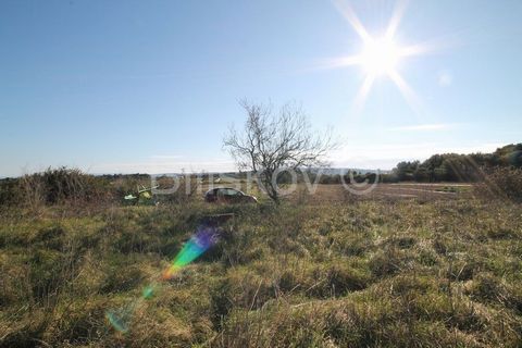 Kaštel Štafilić Landwirtschaftliches Grundstück in Kaštel Štafilić Grundstücksfläche: 4607 m² Grundstücksmaße: ca. 31 x 150 m Zugang: Schotterstraße, 3 m breit Olivenbäume und niedrige Vegetation auf dem Grundstück. Friedliche und ruhige Umgebung Boh...