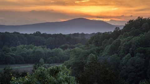 Discover 746 +/- breathtaking acres in Madison County, featuring extensive frontage along the Rapidan River, numerous ponds, and serene streams. This rare, expansive tract boasts excellent Blue Ridge views and offers numerous stunning building sites....