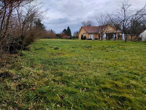 photo no. 1