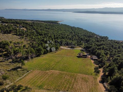 For Sale – Exclusive Property in Bol, Brač: Stone House, Villa Under Construction, and Vineyard with a View of Zlatni rat A unique property located in one of the most beautiful locations on the Adriatic, in Bol on the island of Brač, is for sale. Thi...