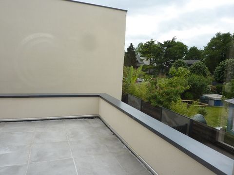 photo no. 2