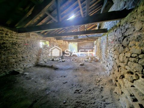 photo no. 3