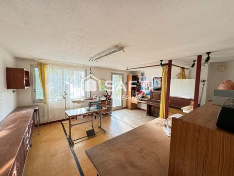 photo no. 6