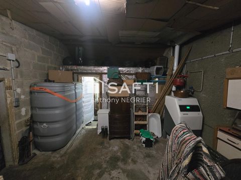 photo no. 6