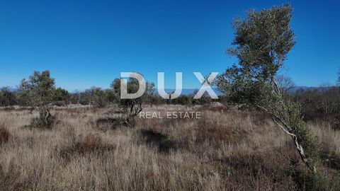 Location: Primorsko-goranska županija, Malinska-Dubašnica, Sveti Anton. ISLAND OF KRK, SV. ANTON - Building land 920m2 Building land for sale near Malinska. The distance from the sea is 2 km, and the sea view is possible from the first floor. The plo...