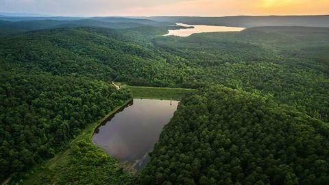 A recreational paradise located in the heart of Arkansas. From large amounts of marketable timber to private lakes, this property gives you direct access to over 340,000 acres of the Ouachita National Forest. This incredible offering is 4,580+/- acre...