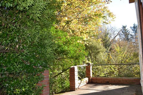 photo no. 15
