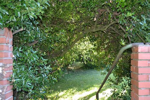 photo no. 18