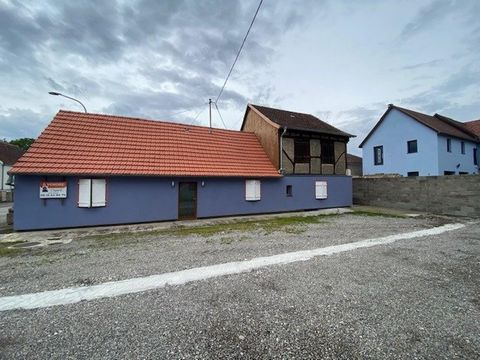 photo no. 6