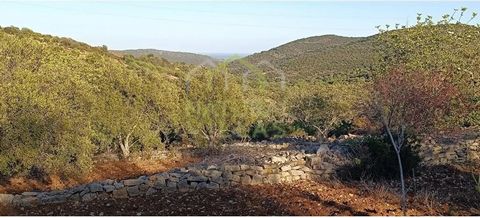 Sehr gepflegtes rustikales Grundstück mit Meerblick in Azinheiro, Estoi. Rustikales Anwesen mit einer Gesamtgrundstücksfläche von 3.280 m2 m2, bestehend aus Anbauflächen mit Mandel-, Johannisbrot- und Olivenbäumen. Mit mäßiger Steigung und Zugang auf...