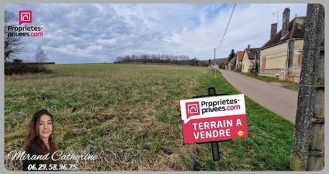 Catherine MIRAND vous propose en exclusivité ce terrain constructible de 1 499 m², idéalement situé dans la commune de Vosnon, au coeur de la forêt d'Othe. Profitez d'un environnement naturel privilégié, à seulement 15 minutes de Saint-Florentin et 3...