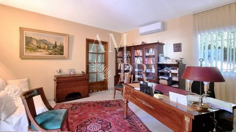 photo no. 16
