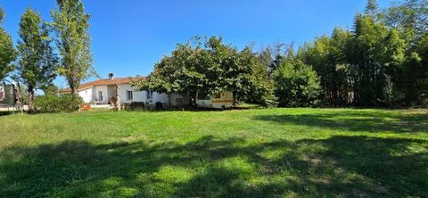 5 Minutes de Saint Sylvestre