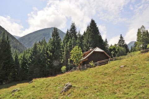 Ten rustykalny domek / chata alpejska dla maksymalnie 4 osób znajduje się ok. 12 km od Kolbnitz-Teuchl w Karyntii i znajduje się na wysokości 1200 metrów nad poziomem morza. Chata pośrodku natury jest cicha i słoneczna na skraju lasu. Cicha lokalizac...