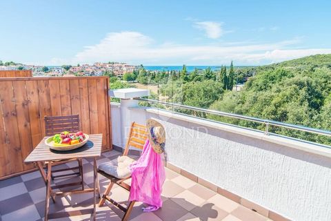 Location: Istarska županija, Vrsar, Vrsar. Vrsar, an attractive hotel only 800 m from the sea In a well-known fishing village in the town of Vrsar, there is a hotel with wellness, sauna and restaurant. The hotel is only 800 m from the beach and consi...