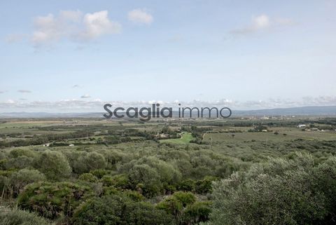 Агентство Scaglia immo предлагает вам на продажу прекрасную возможность в секторе Сассари / Альгеро на Сардинии. Эта сельскохозяйственная компания владеет поместьем площадью 16 гектаров с несколькими зарегистрированными зданиями, подлежащими ремонту....