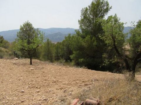 Overlooking the Espuna National Park, the plot is approximately 12 kilometeres from Pliego near Mula. The plot is set on a plateau of which there are three approximately 55,000 square metres set amongst Almond and Pine trees with stunning views to th...