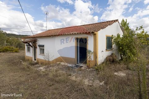 Rustic farm in São Pedro de Tomar - Total 8 articles (5 urban and 3 rustic); - Built area - 337m2 - Living area - 261.25m2; - Total area - 4.880m2; The framing of this farm is fantastic, as it is located at a point where the view is quite unobstructe...