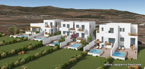 Kastraki Naxos, houses for sale with private pool and garden. Inside, each house consists of 1-3 bedrooms, 1-2 bathrooms, a kitchen and a living room. Outside, each house has a swimming pool, a garden, a balcony, a covered veranda and a parking space...