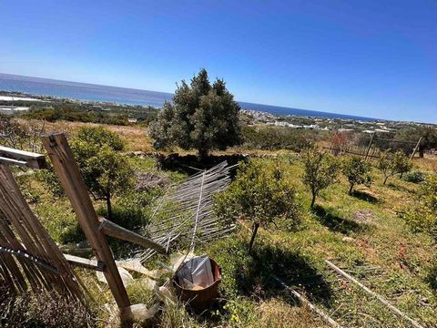 Makry Gialos, Zuidoost-Kreta: Landbouwperceel met een fantastisch uitzicht op zee op slechts 1 km van de zee. Het is 300m2 en wordt gebruikt als tuin en heeft verschillende fruitbomen. Een ideaal perceel voor een caravan. Het perceel heeft landbouwwa...