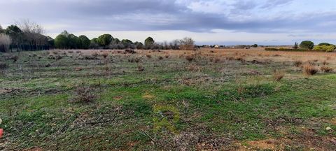 Located in the town of Portiragnes, village near the sea between Agde and Beziers, sells agricultural land of 4373m² with possibility of water from the Bas Rhone. For more information, call Catherine JEAN at ... or come see us at the ROBERT IMMOBILIE...