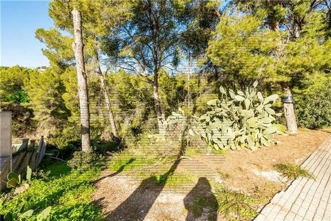 Calviá. Portals. Plot of 1525m2 in the area of Portals Nous. This urban plot of 1525m2 is suitable for building a detached house of approximately 533m2. You can build a two-storey house plus a basement and a swimming pool. Not suitable for constructi...