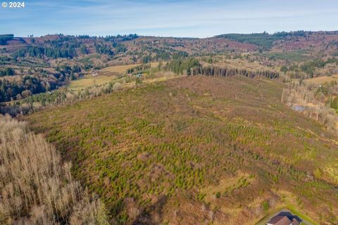 Over 65ac of prime farm & forest land spread across 3 tax lots. Replanted in Douglas Fir timber after harvest in 13'-14'. Build a dream home overlooking stunning panoramic views. Lifestyle property offers privacy, abundant wildlife, creek frontage & ...