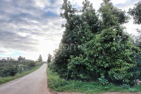 Identificação do imóvel: ZMPT564596 Irrigated agricultural land in Silves, with an area of 14,750m², fenced, with two road fronts, abundant water from an artesian borehole, has an avocado plantation and some citrus fruits. 3 reasons to buy with Zome:...