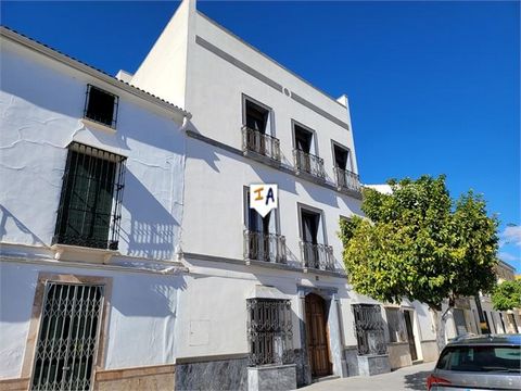 Esta propiedad construida de 673 m2 bellamente presentada se encuentra en la calle principal de la ciudad de Badalotosa, en la provincia de Sevilla en Andalucía, España, cerca de todos los servicios locales, incluidos numerosos bares y restaurantes d...