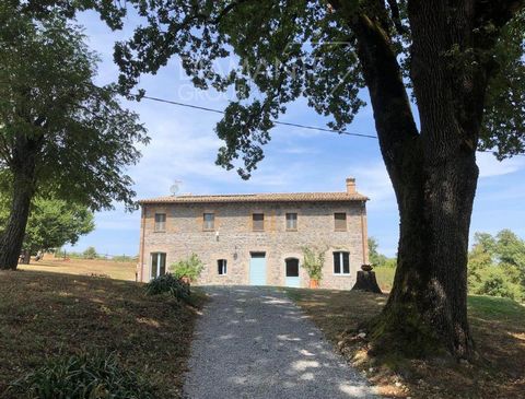 Castel Giorgio (TR): Agricultural estate of 15 hectares with land, stone farmhouse, stables, and outbuildings comprising: Approximately 6 hectares of arable land with current PAC quotas, currently cultivated with vegetables; Approximately 6 hectares ...