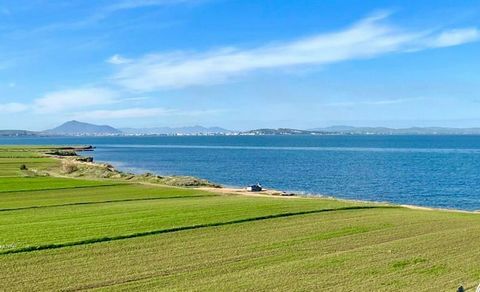 We offer for sale a waterfront plot of land in Bizerte For sale in Bizerte, a waterfront plot of land with an area of 12,000 m², with a frontage of 40 m² on the sea and a depth of 300 m². legal file in good standing. Ideal for investors looking to de...