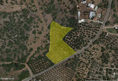 Located in Agios Nikolaos. Fairly large building plot of 5235 m2, situated in the quiet countryside in between the villages of Milatos and Sissi, enjoying views of the surrounding hills and mountains. The plot has the allowance to build a villa or vi...