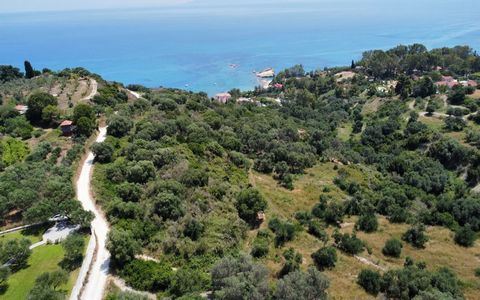 Located in Spartia. The advantages of the plot are: Best value for money Close to beautiful beaches Direct access to Argostoli All the infrastructure (water, road, electricity) is already at the plot Close proximity to market and restaurants Privacy ...