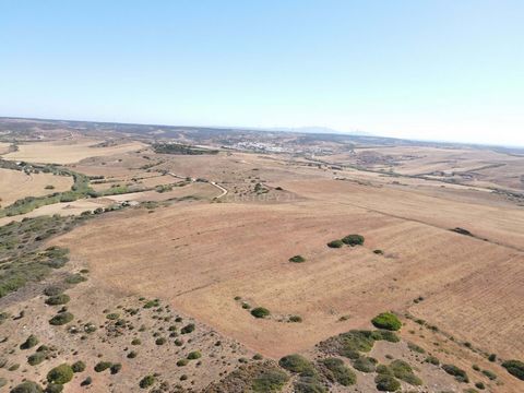 In Vila do Bispo, 9 kms from Sagres, we find this rustic property, flat with 6000 m2, great for cereal farming, close to the sea with an open view, good access. Close by are the famous beaches Ingrina, Zavial, Castelejo and Cordoama, an area much sou...