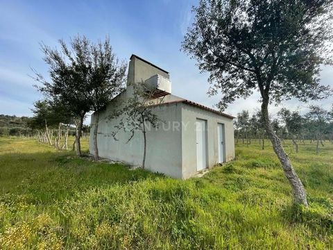 Welcome to your paradise in Alentejo. In São Bartolomeu do Outeiro, just 30 minutes from Évora, you will find this property where nature meets rural charm. With a generous extension of 4.2 hectares, this property has an impressive 2020 young cork oak...