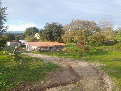 Land with a total area of 10,500m2, with two buildings, one in stone. Wooden construction covered with clay and earth, with a new sandwich panel roof. Property with three wells, abundant water and several fruit trees, olive trees and vineyards. With ...