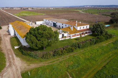 Quinta do Meirinho, a property with 107 hectares, of which 105 hectares for agricultural production, located in the municipality of Golegã, in Azinhaga, the most Ribatejo village in Portugal. The soil, made up of old and new alluvium, makes this agri...