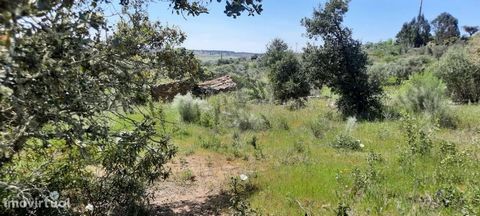 Land for sale, with a total area of 6,750 m2. Located next to the Parish of Rosmaninhal , this land intended for agriculture, has some fruit trees , but the land at the moment is intended for pastoralism , it has an agricultural dependence, although ...